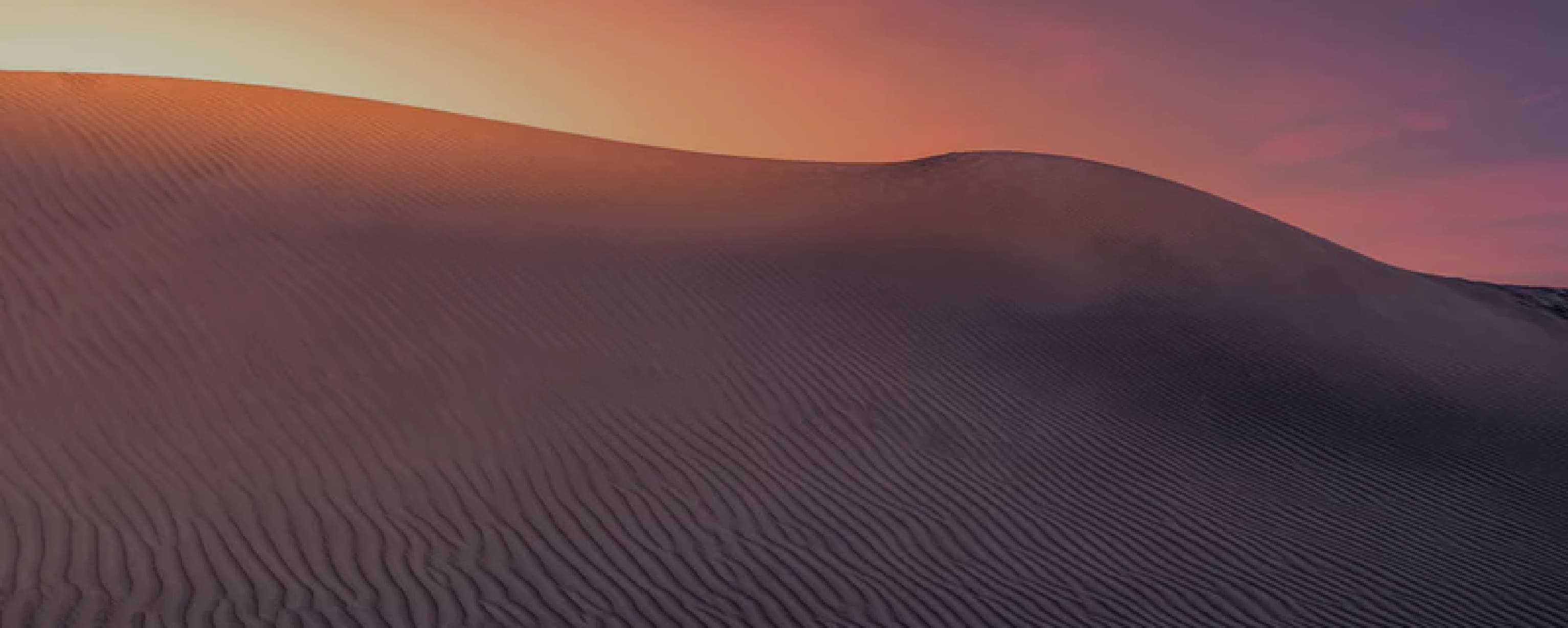 Overnight Desert Camp Experience