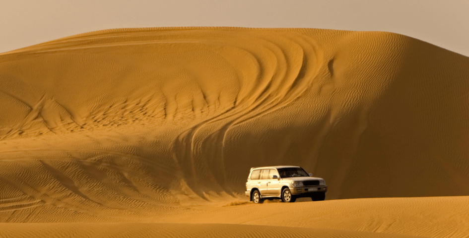 Evening Desert Safari with BBQ Dinner